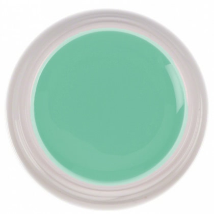 Top Coat Mat Gel Color MyNails Mint Green 5ml